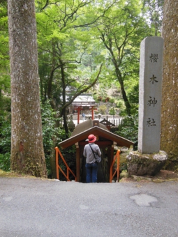 桜木神社.JPG