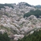 滝桜-550x400.jpg