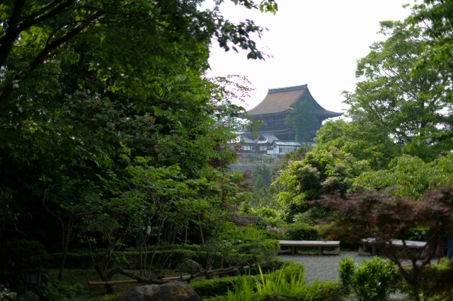 吉水神社から蔵王堂を望む
